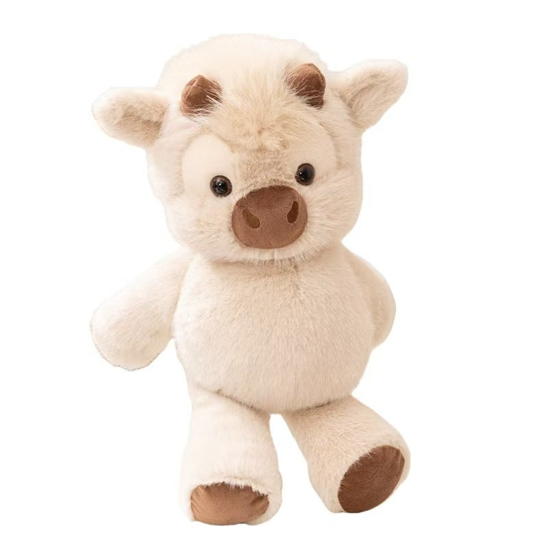 Highland Cow