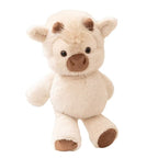 Highland Cow