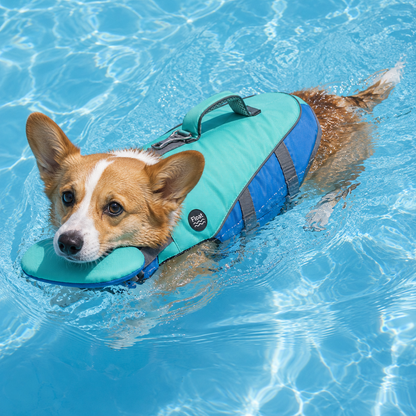 Float Guard Dog Life Jacket