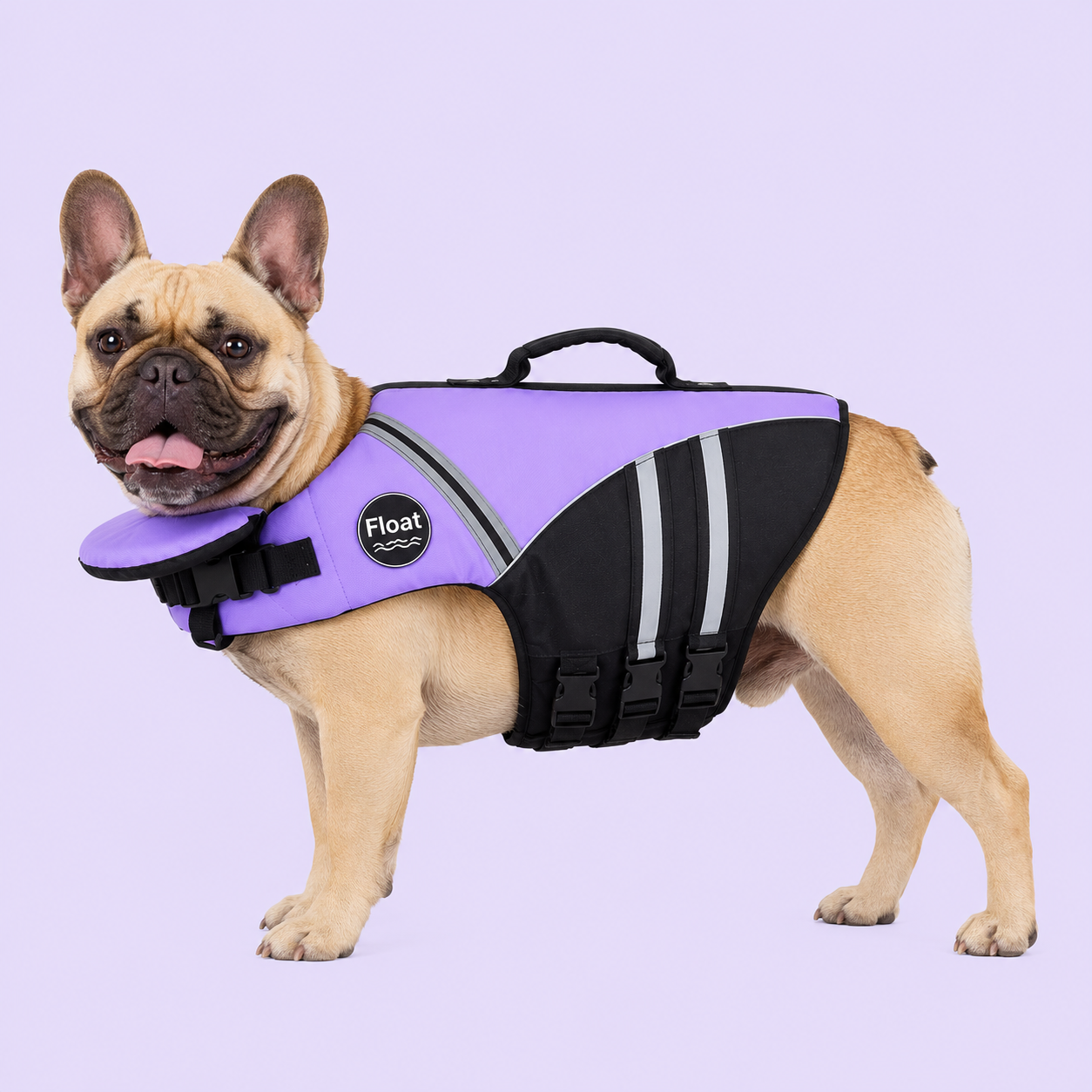 Float Guard Dog Life Jacket
