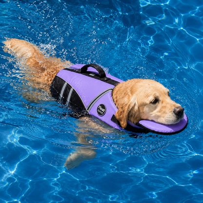 Float Guard Dog Life Jacket