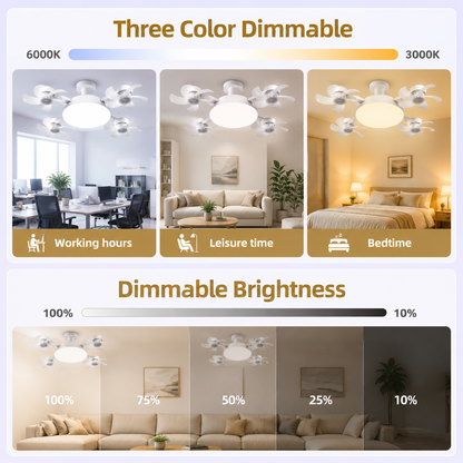 Aéro™ 4-Head Socket Fan Light