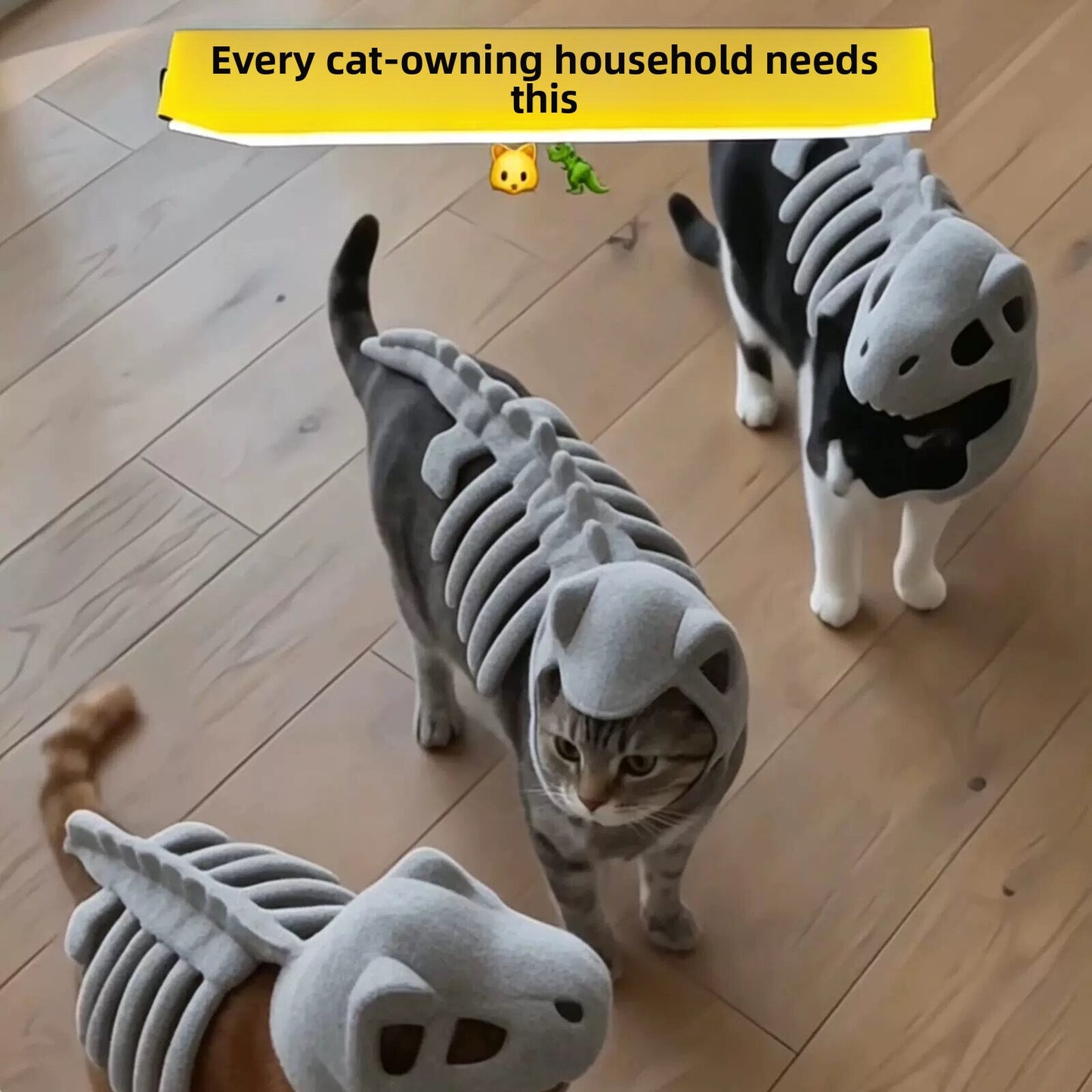 Pet Headgear