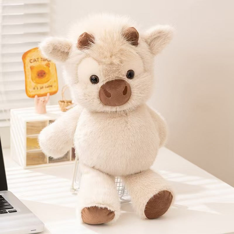 Highland Cow