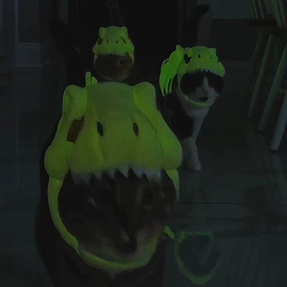 Pet Headgear