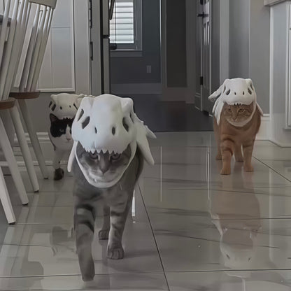 Pet Headgear